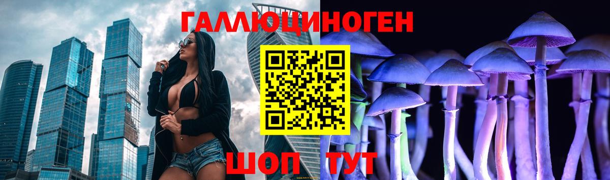 Псилоцибиновые грибы Psilocybe  Вход с VPN  Дивногорск 
